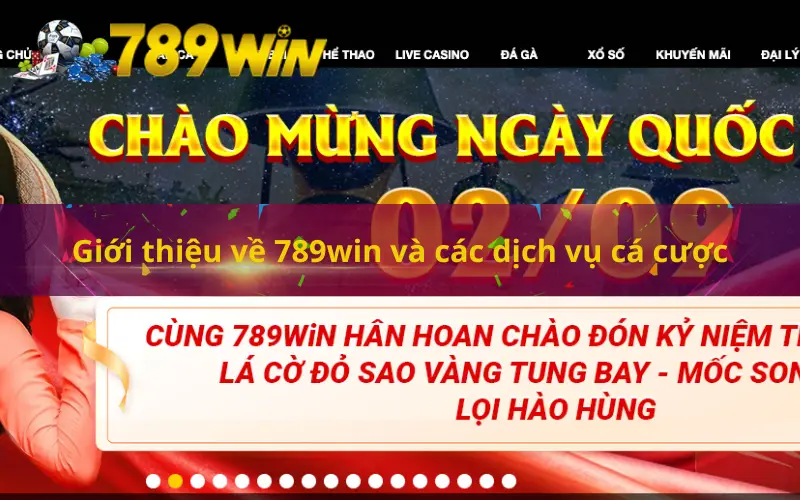 Giới thiệu về 789win và các dịch vụ cá cược